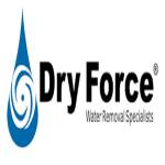 Dry Force