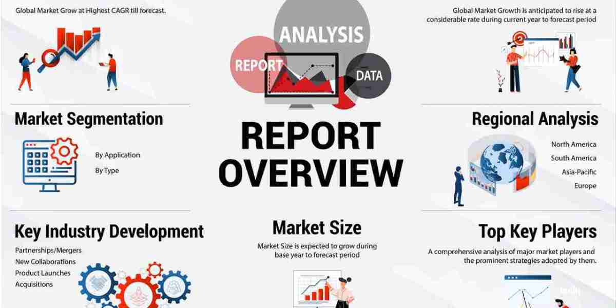 Analyzing Market Size and Share in the Smart Plug Segment