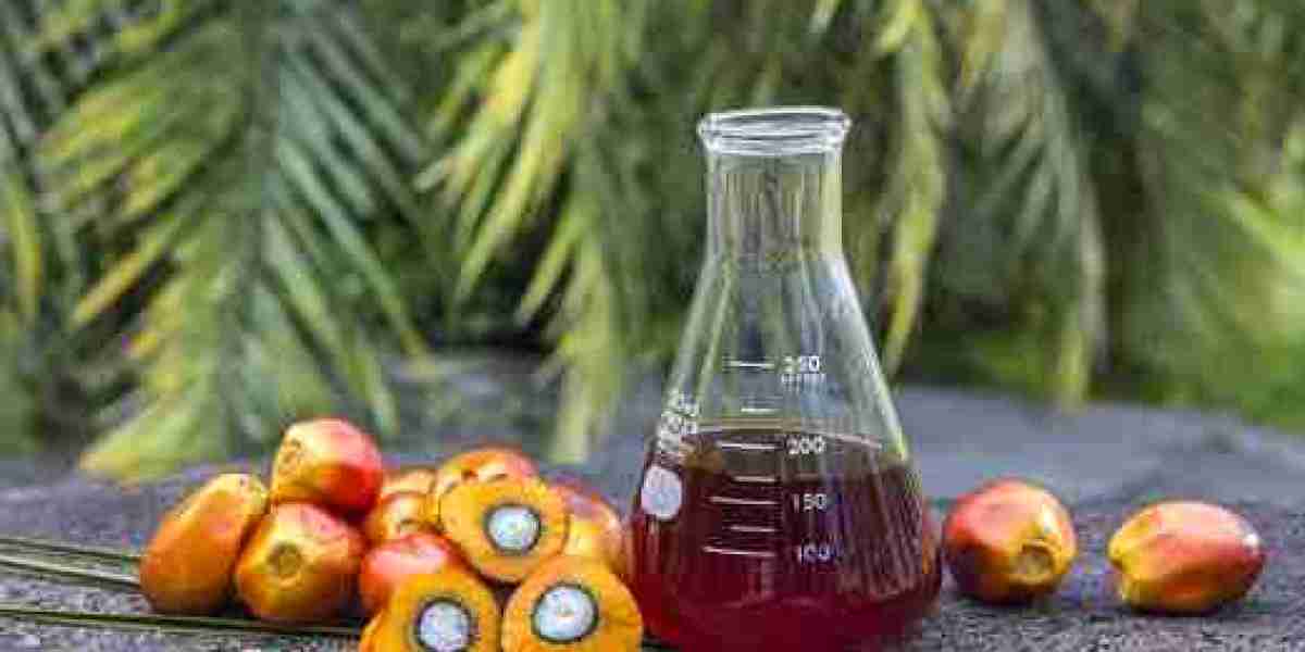 A Quick Guide to Crude Palm Oil Processing