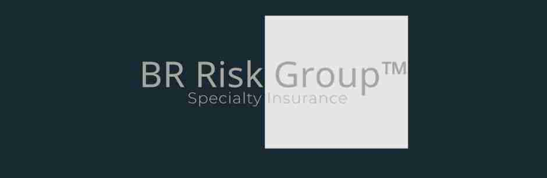 BR Risk Group Specialty Insurance