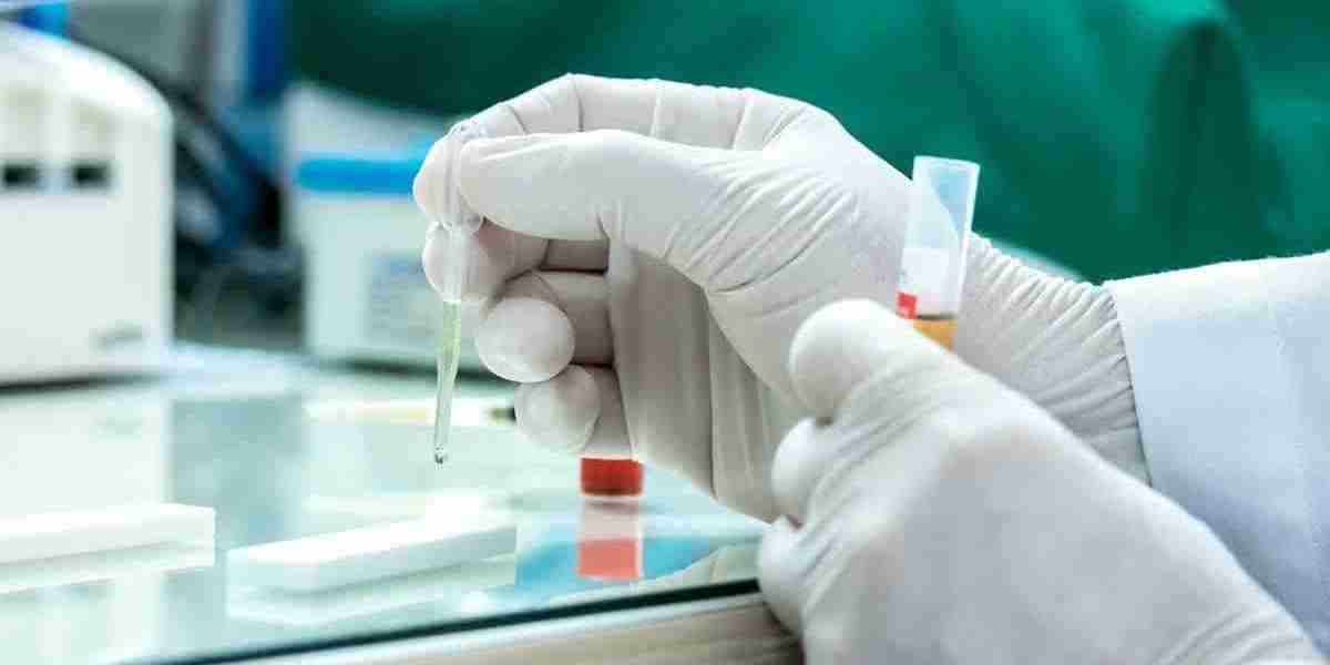 Drug Abuse Testing Market Size, Key Players, Top Regions, Growth and Forecast by 2031