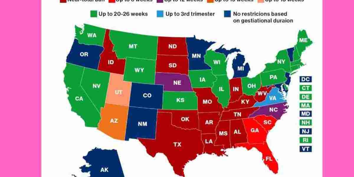 From the Streets to the Ballot: How Grassroots Movements Are Shaping Abortion Legislation