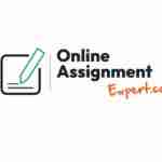 Online Assignment Expert