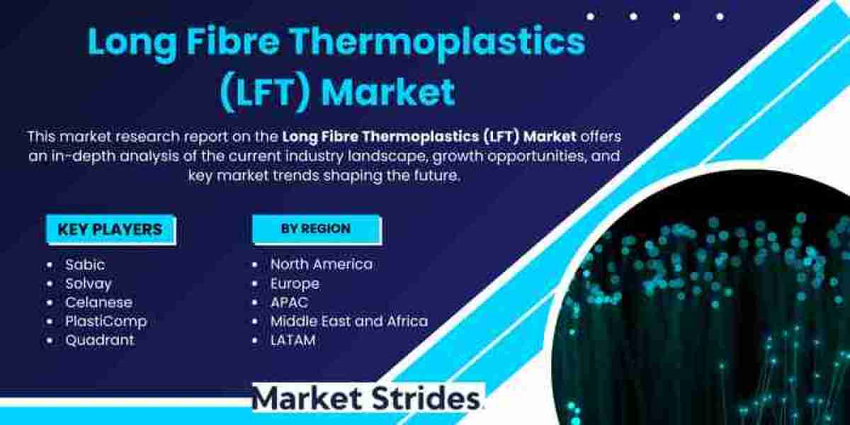 Long Fibre Thermoplastics Lft Market Comprehensive Overview: Statistics, Insights, and Opportunities 2024-2032