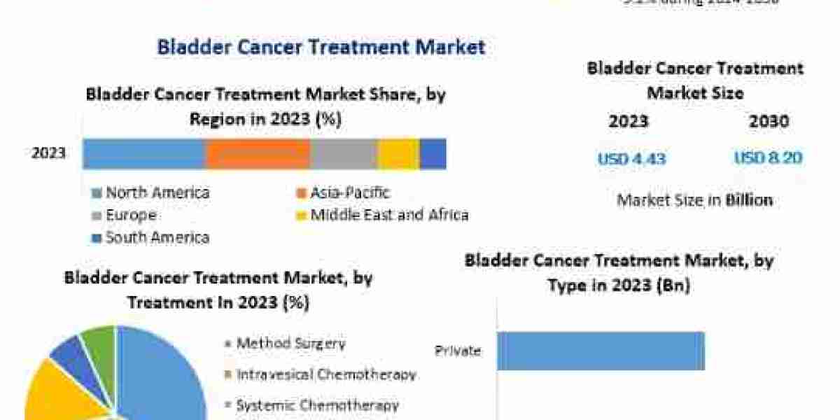 Bladder Cancer Treatment Market Key Finding, Market Impact, Latest Trends Analysis-2030