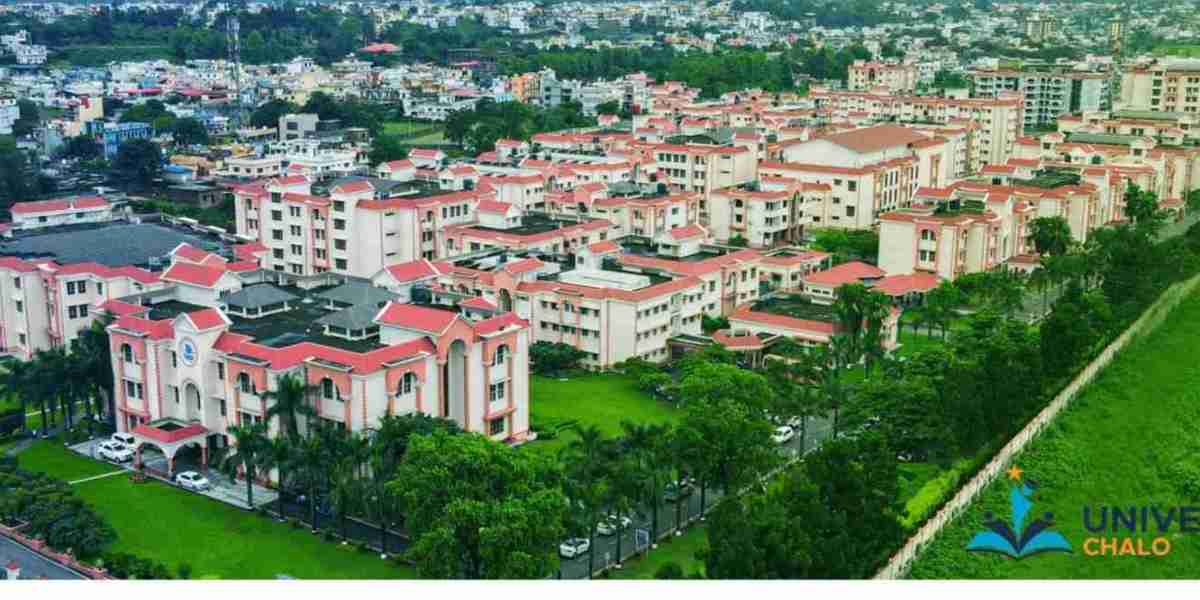 Comparing Uttaranchal University with Others: Which Wins?