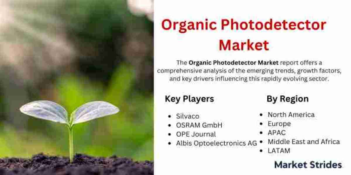 Organic Photodetector Market Insights: Regional Developments, Top Players, and Future Trends 2024-2032