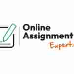 Online Assignment Expert