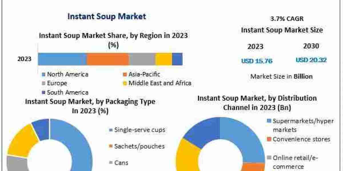 Instant Soup Industry: Global Market Insights and Regional Forecasts by 2030