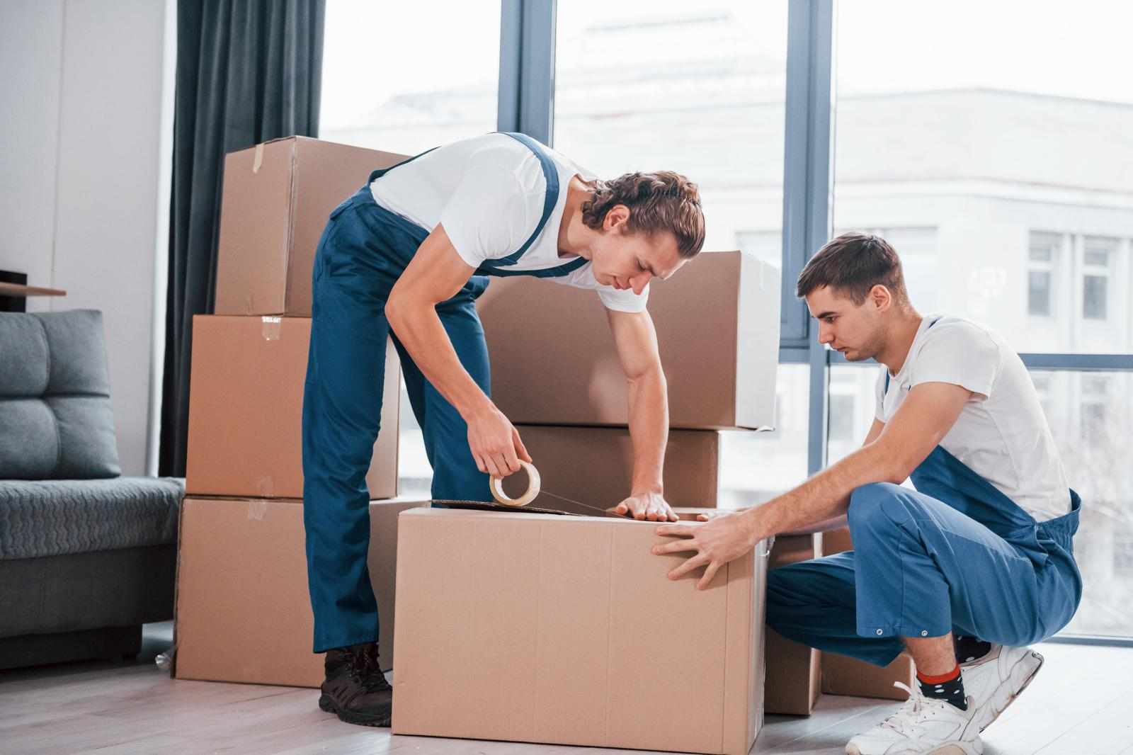 Everything To Know About Removalist