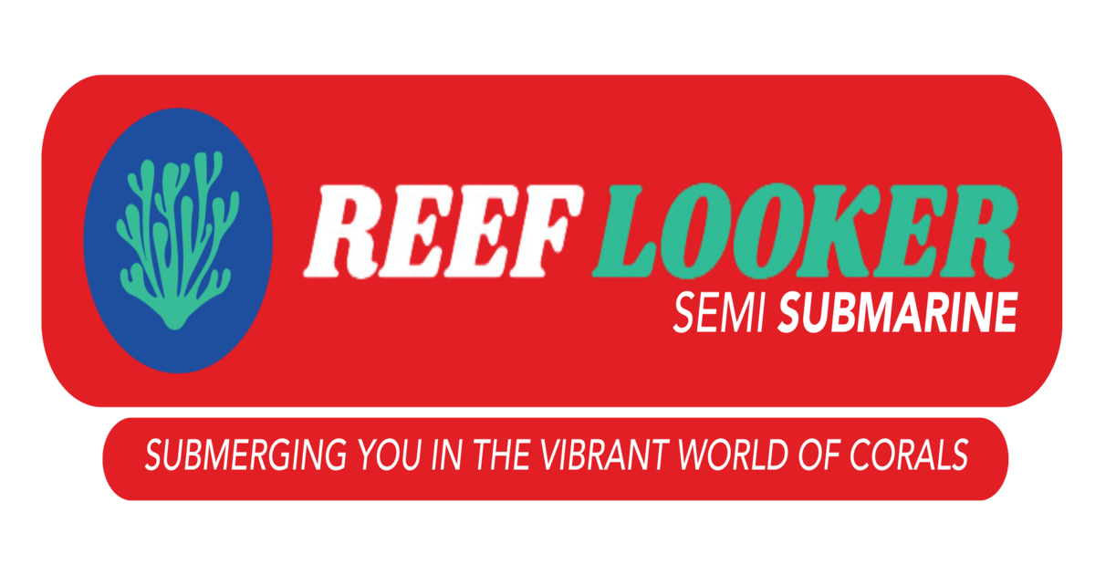 Experience Exciting Water Sports in North Bay Island With Reef Looker