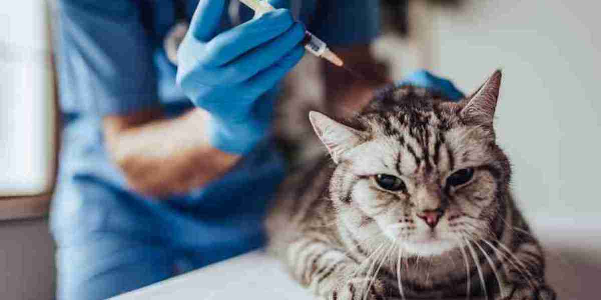 Veterinary Vaccines Market Competitive Strategies and Market Barriers: Identifying Key Industry Challenges and Opportuni