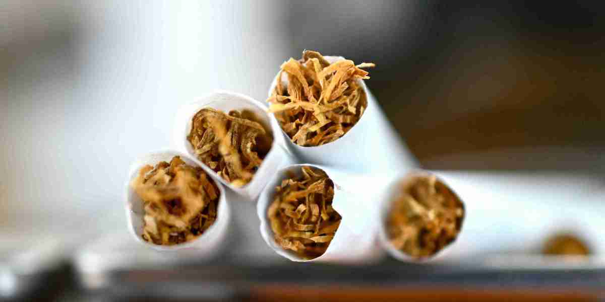 Roll Your Own Tobacco Products Market: Customization and Convenience Fueling Growth