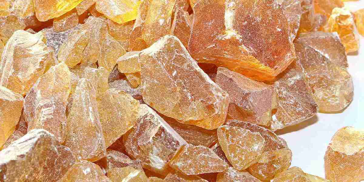 Gum Rosin Market Forecast: Predicting Future Growth and Opportunities