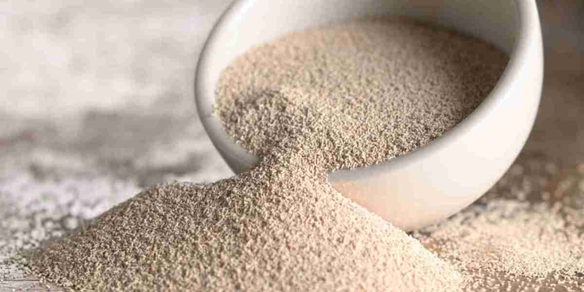 Dry Yeast Market: A Comparative Study of Active Dry Yeast and Instant Dry Yeast in Various Applications