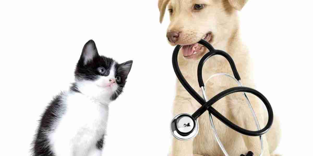 Companion Animal Drug Market: Advancements in Veterinary Medicine Shaping Demand