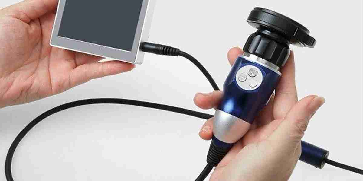 Disposable Endoscopes Market: Strategic Moves and Competitive Advantage