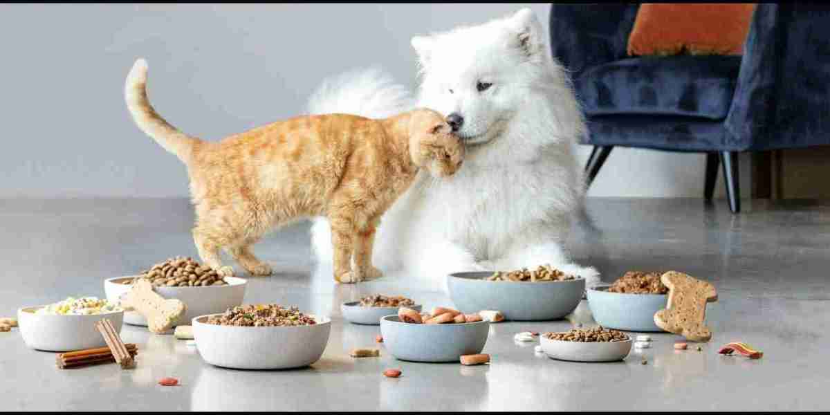 Pet Food Market: Driving Growth Through Rising Pet Ownership and Humanization