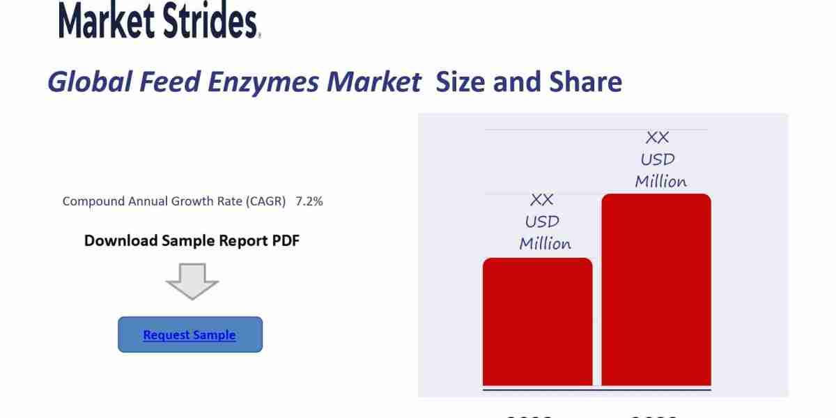 Feed Enzymes Market Insights and Forecast 2023-2033: Key Drivers and Trends