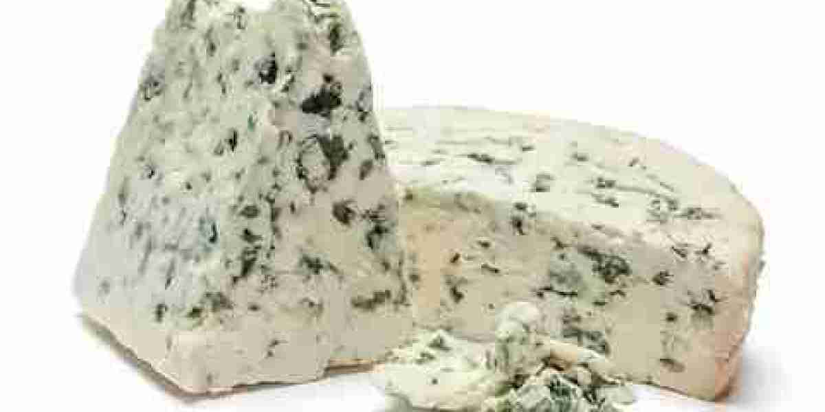 Blue Cheese Market: A Study on Blue Cheese’s Popularity Among Food Enthusiasts