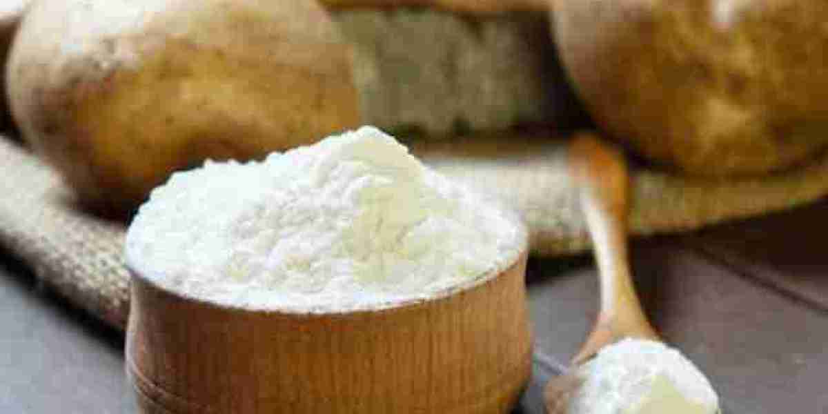 Native Starch Market Competitive Analysis and Forecast: Market Opportunities, Threats, and Strategic Growth Drivers