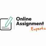 Online Assignment Expert