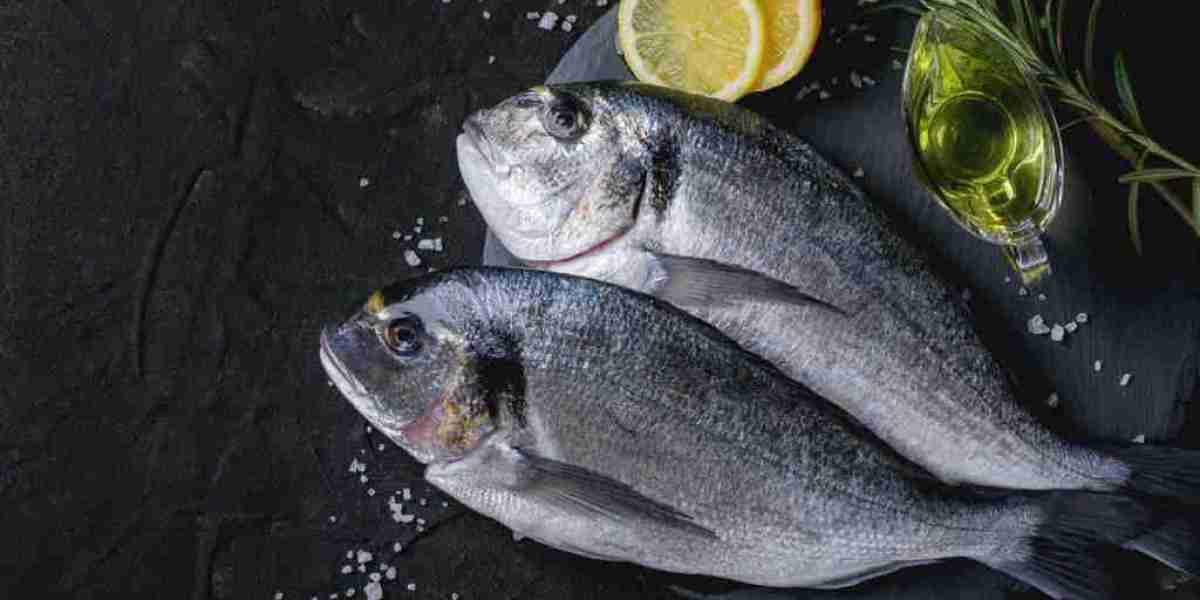 Fish Collagen Market Trends: Navigating the Future