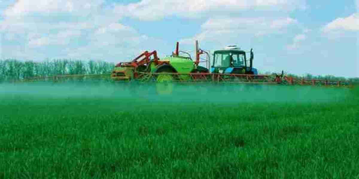 Foliar Fertilizers Market: How Crop-Specific Solutions are Revolutionizing Fertilizer Efficiency