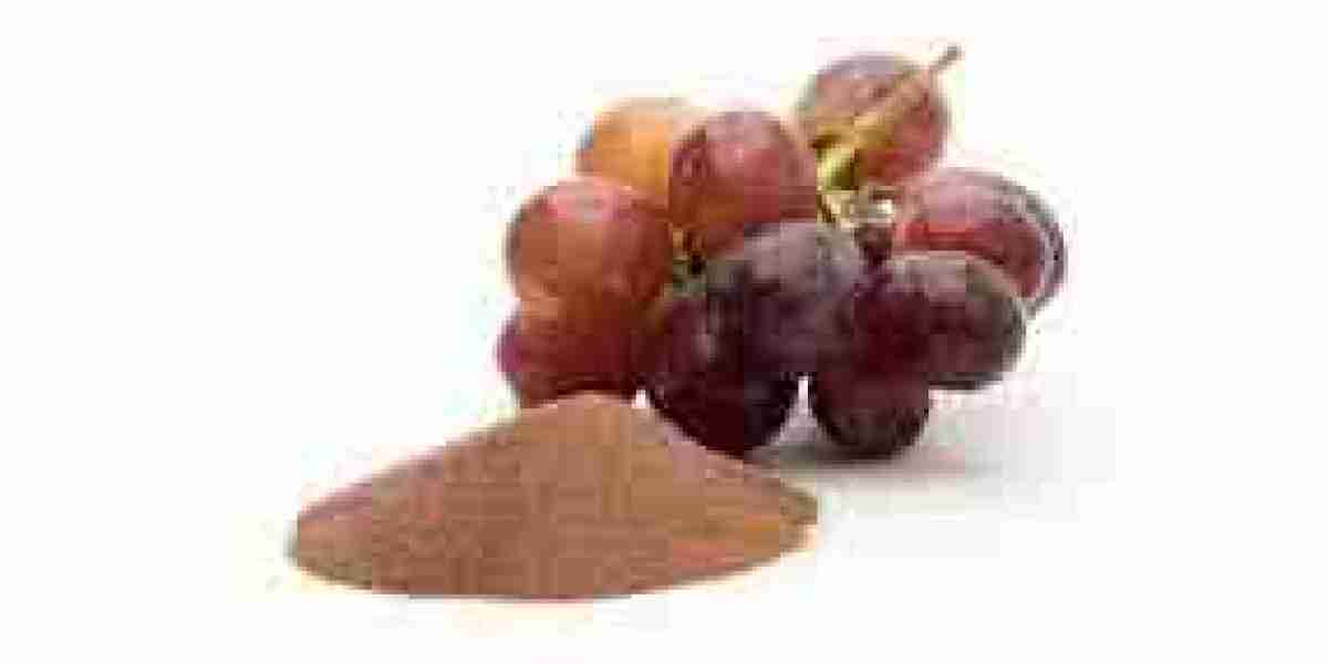 Grape Skin Extract Market Analysis: Comprehensive Review of Key Drivers, Challenges, and Future Market Developments