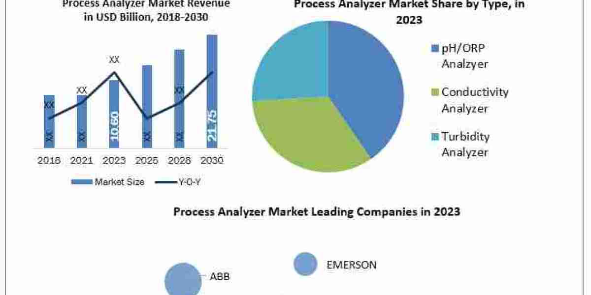 Process Analyzer Market Share, Growth, Industry Segmentation, Analysis and Forecast 2024-2030