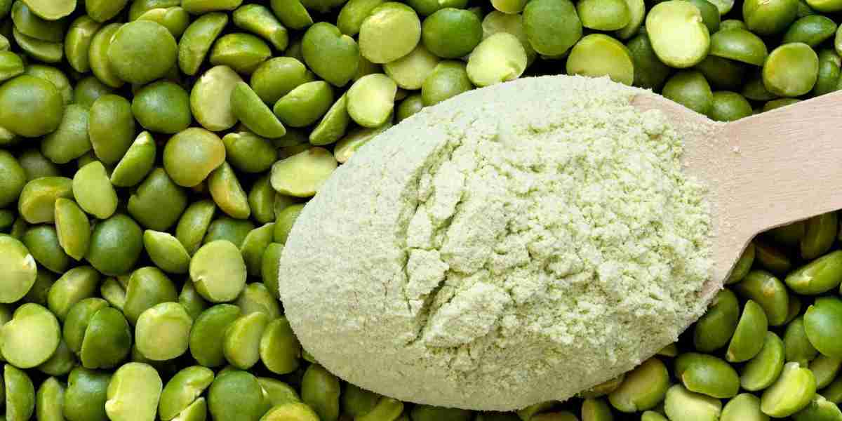 Pea Fiber Market: Tackling Competition from Traditional Fiber Sources