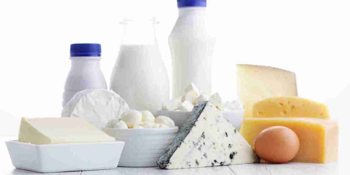 UHT Dairy Products Market: A Journey Through Innovation