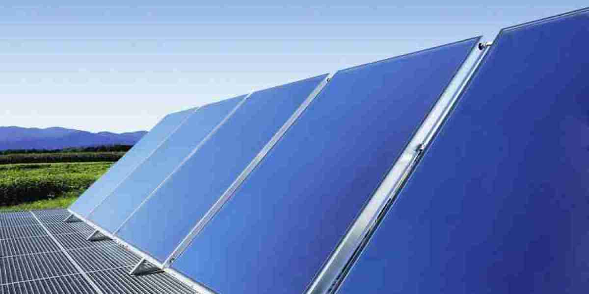 Solar Collector Market Trends: A Detailed Analysis of Demand, Growth, and Market Forecasts