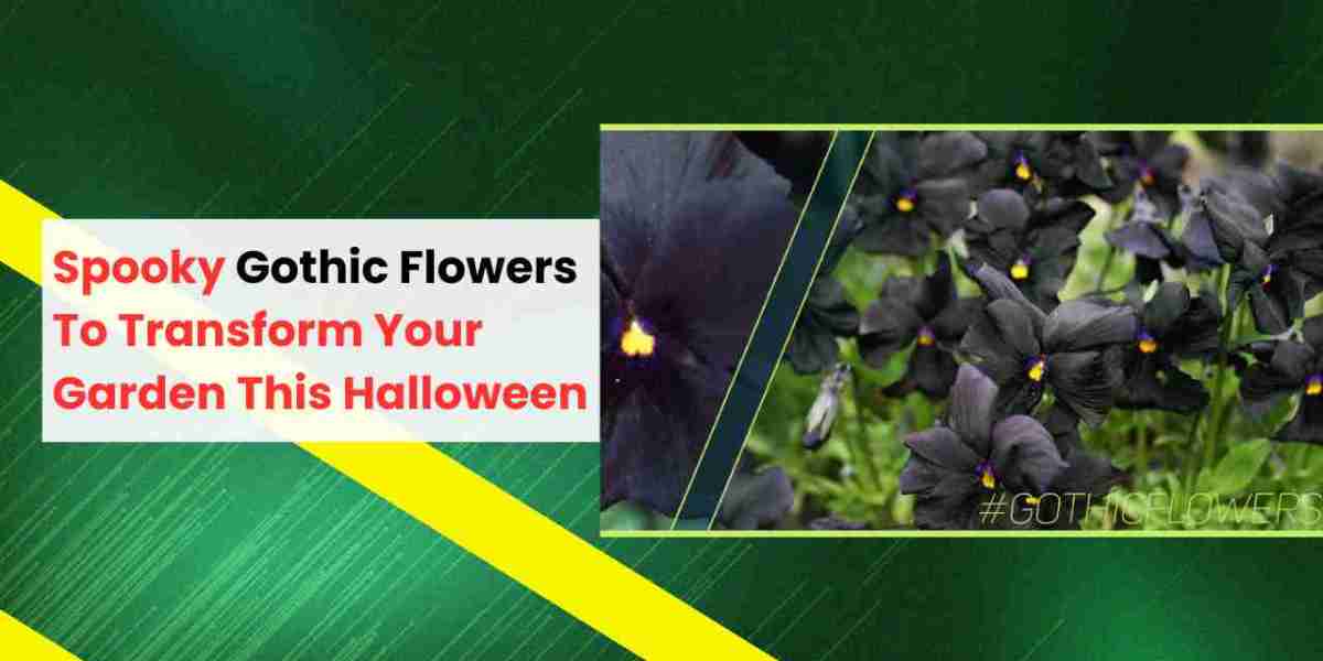 Spooky Gothic Flowers To Transform Your Garden This Halloween