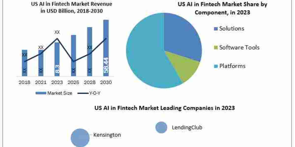 US AI in Fintech Market Leading Players, Analysis, Sales Revenue and Forecast 2030