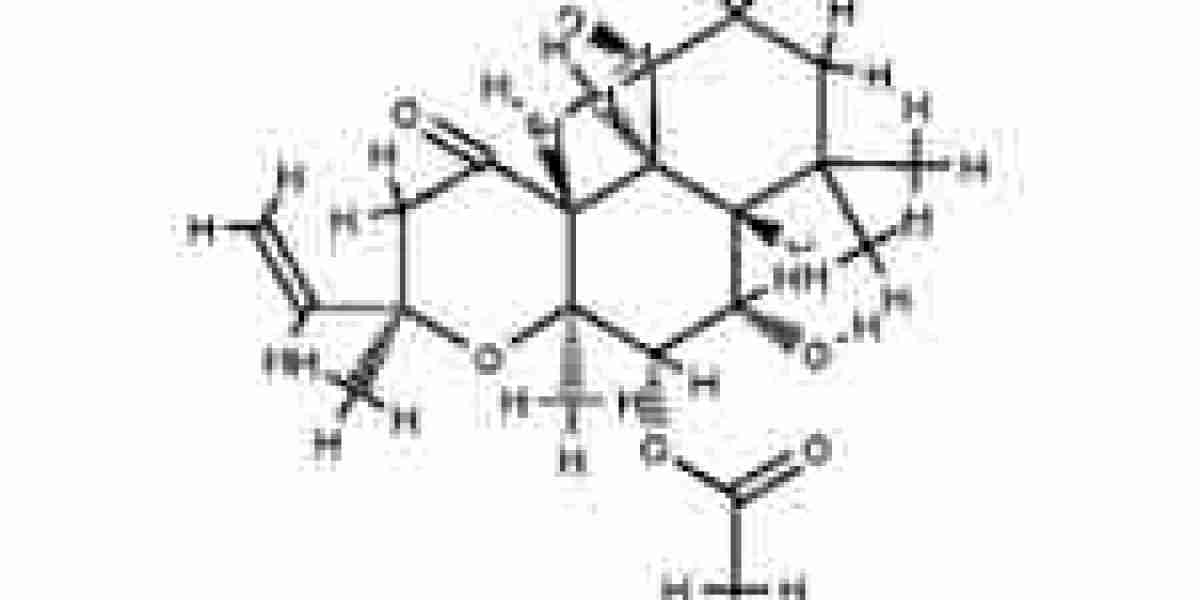 Forskolin Market Scope: A Thorough Overview of Market Size, Trends, Opportunities, and Consumer Demands