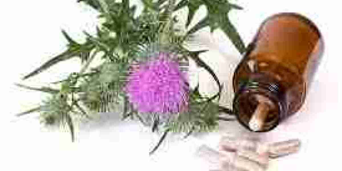 Milk Thistle Supplements Market Pain Points and Challenges: Overcoming Market Barriers and Exploring Growth Opportunitie