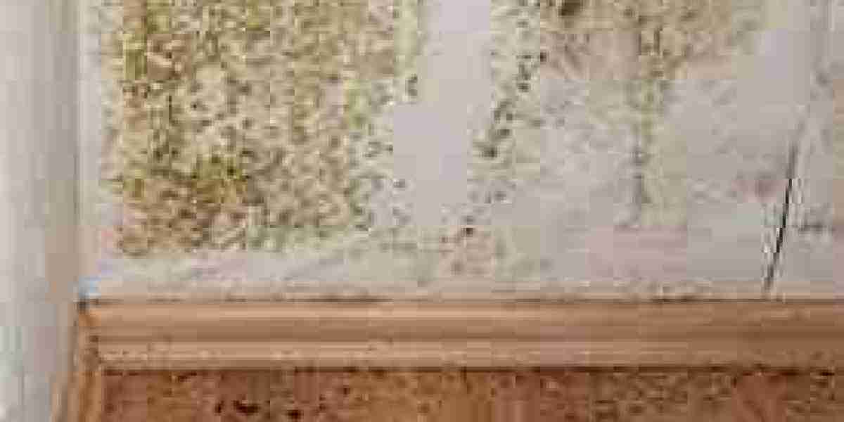 Best Ways to Restore Water Damage and Avoid Mold