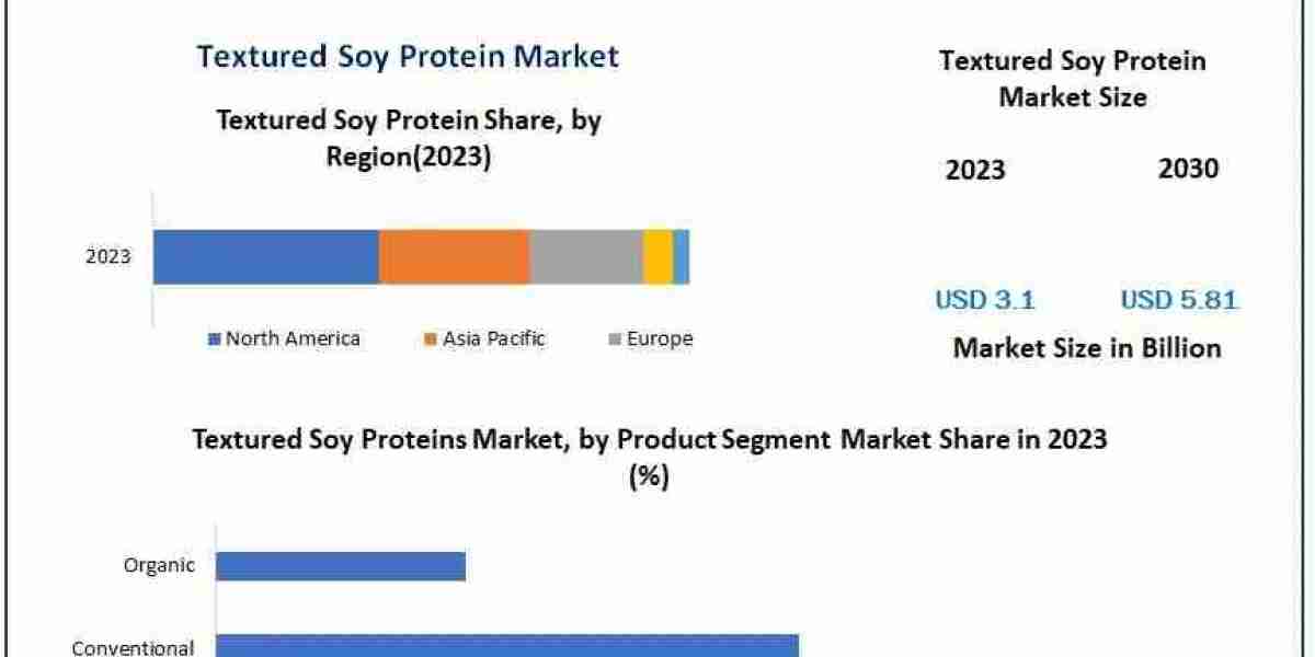 Textured Soy Protein Market: Key Insights and Predictions for 2030