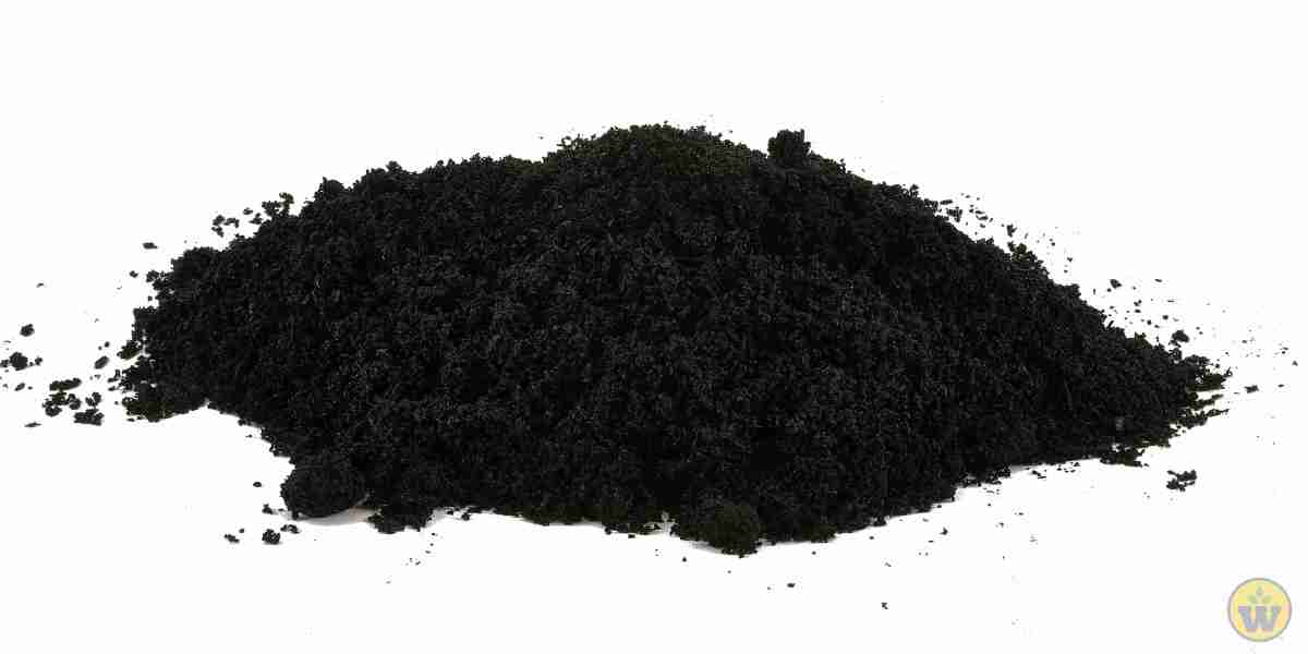 Biochar Market: Technological Breakthroughs and Their Influence on Market Dynamics