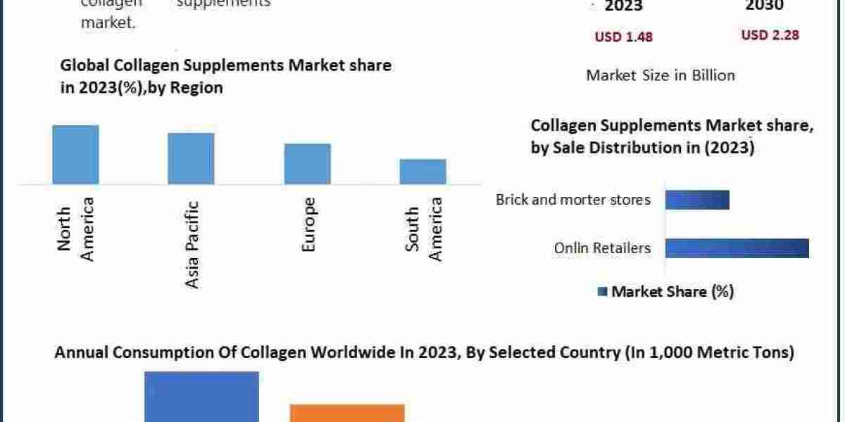 Collagen Supplements Market Expansion: What’s Ahead for 2030