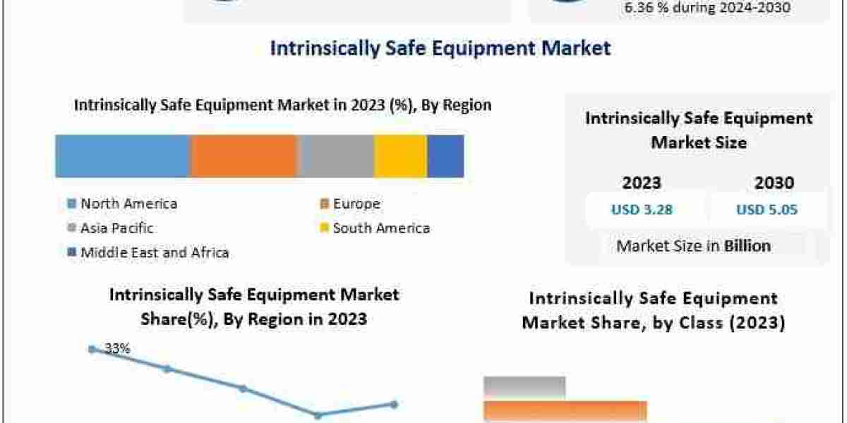 Intrinsically Safe Equipment Industry: Key Players and Competitive Landscape