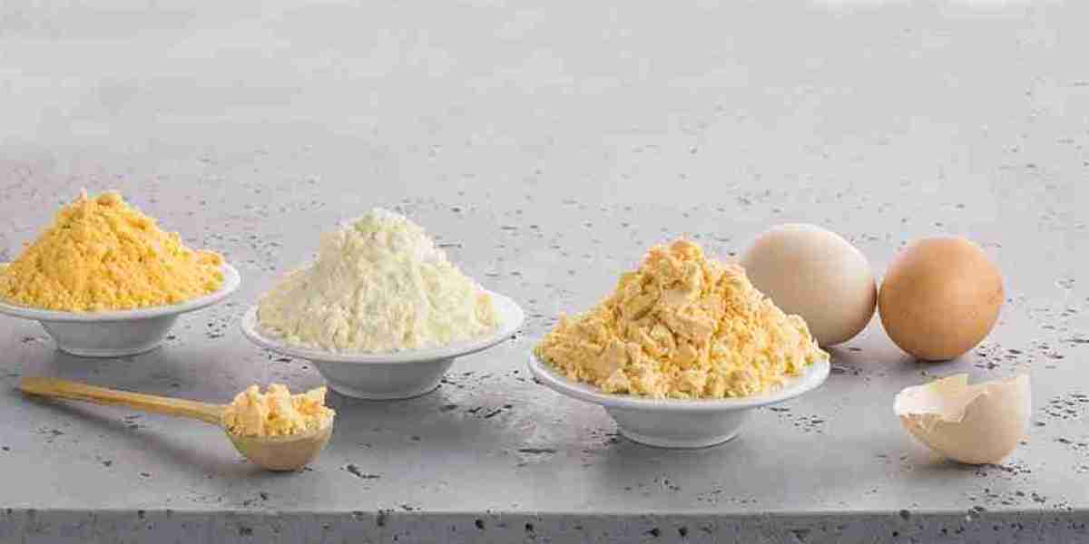 Dried Eggs Market: The Importance of Quality Control in Production