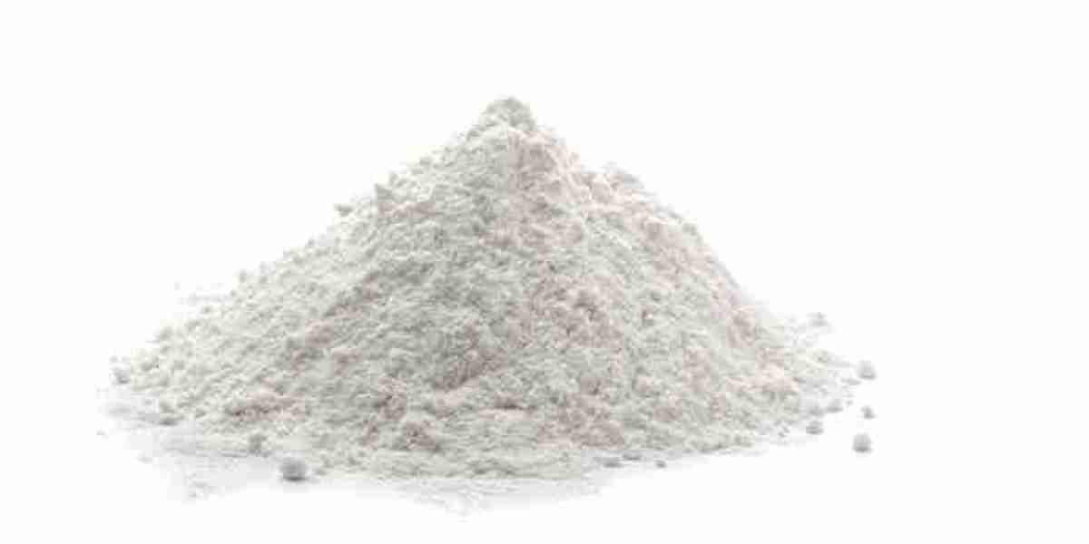 Organic Starch Market Growth Potential: Accelerators, Hindrances, and Strategic Moves