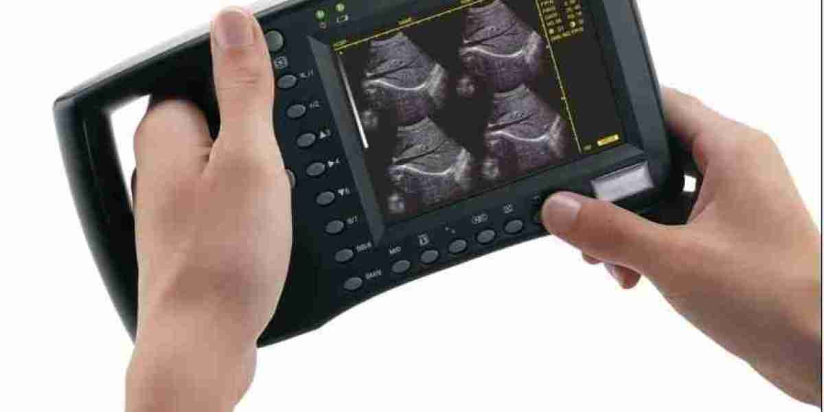 Veterinary Ultrasound Scanner Market Growth Analysis: Market Landscape, Key Drivers, and Competitive Strategies