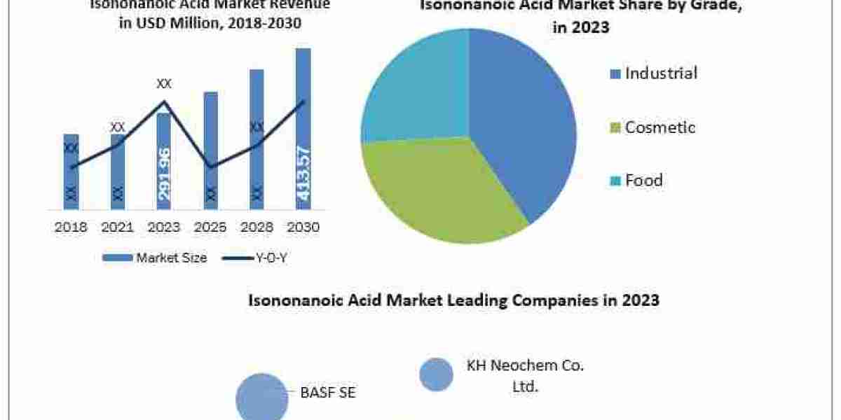 Isononanoic Acid Market Metrics Magic: Segmentation, Outlook, and Overview Trends   2030