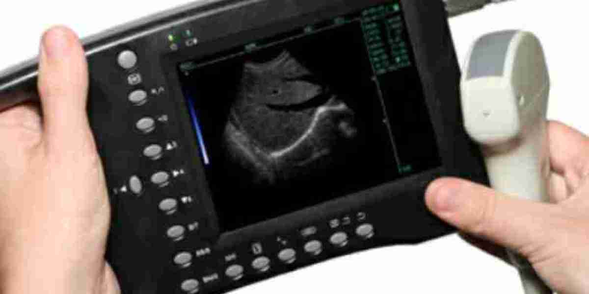 Veterinary Ultrasound Scanner Market Opportunities and Strategic Recommendations for Stakeholders in the Veterinary Sect