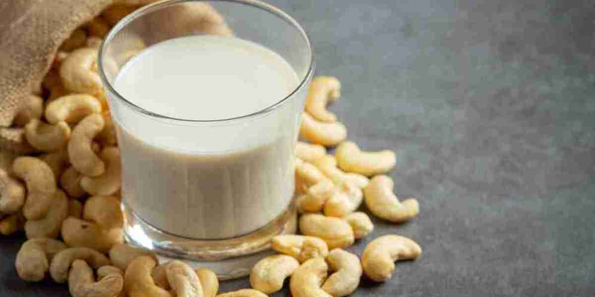 Cashew Milk Market Scenario: Competition Analysis and Long-Term Outlook