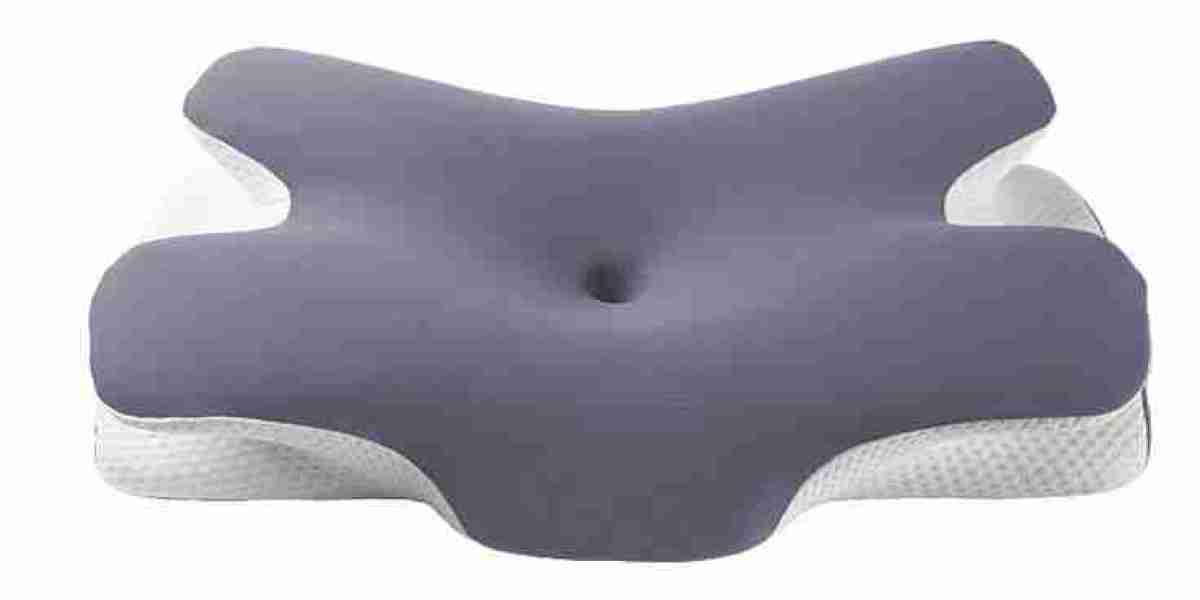 Cervical Pillow Market Scope and Landscape: Insights into Growth and Hindrances