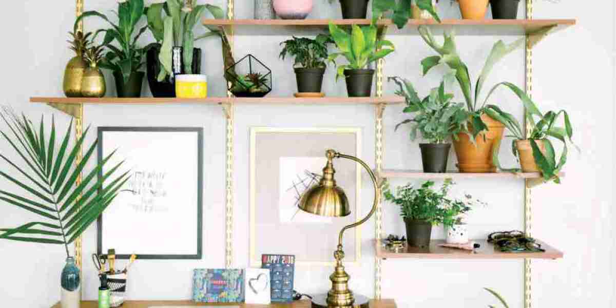 Artificial Plants Market: The Rise of Low-Maintenance and Eco-Friendly Greenery